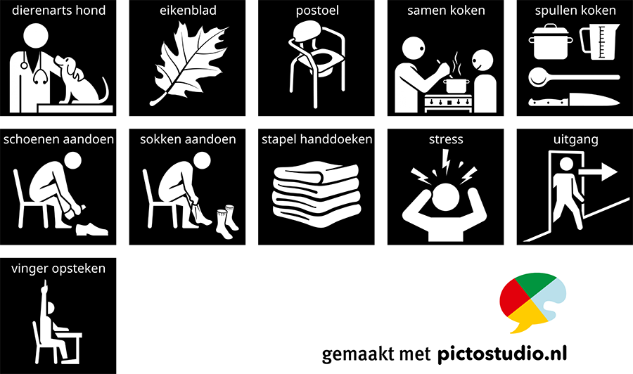 nieuwe visitaal pictogrammen